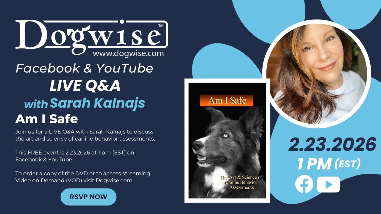 Q&A with Sarah Kalnajs