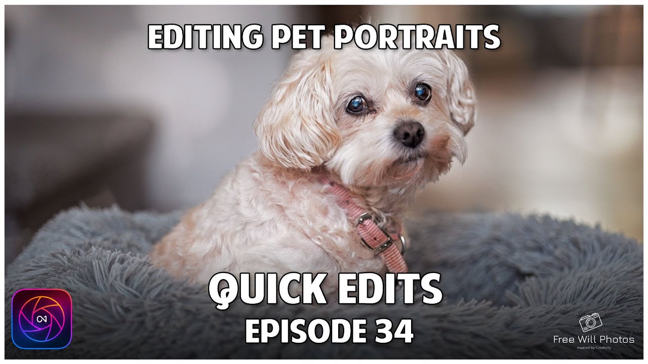How to Edit Pet Portraits Using ON1 Photo RAW 2024.5