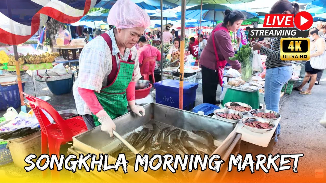 🔴LIVE Songkhla Morning Market