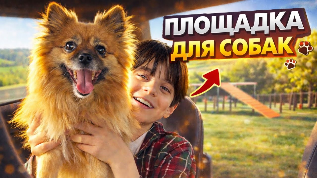 ВЛОГ / Больная ТЕМА Лечение ЗУБОВ  /Личная  ЗОНА для Собак