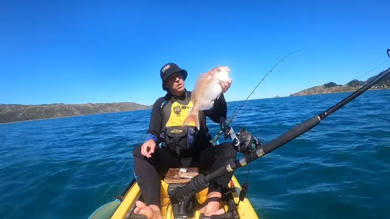 Chaos on the Kayak! - Wellington Harbour Kayak Fishing