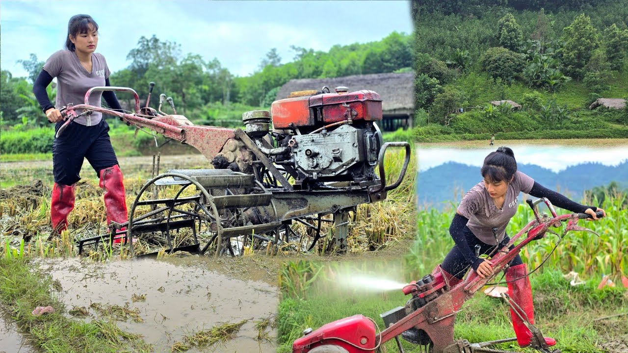 Farm girl, harrowing the fields and helping neighbors for the next season.#farming #garden #farm
