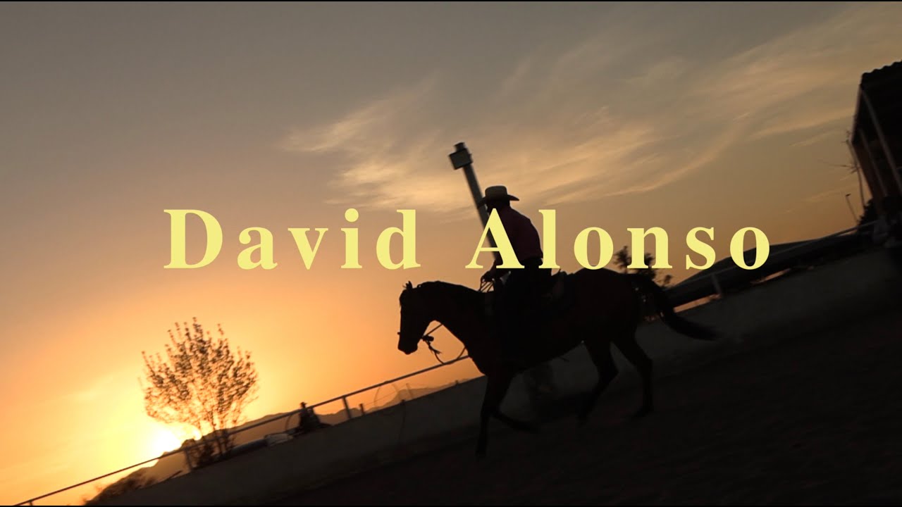 Conversando con David Alonso / Doma Natural