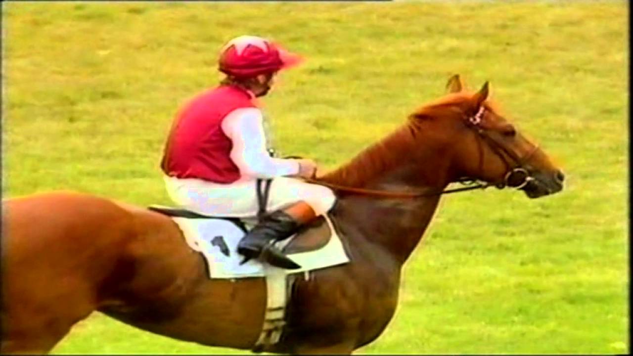 1985 2000 Guineas Newmarket Shadeed extended pre race footage