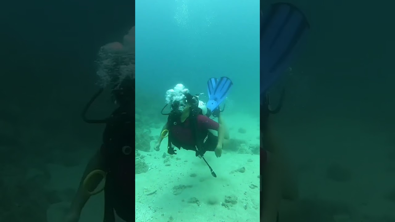Scuba Diving Havelock: Discovering the Wonders of the Andaman Sea