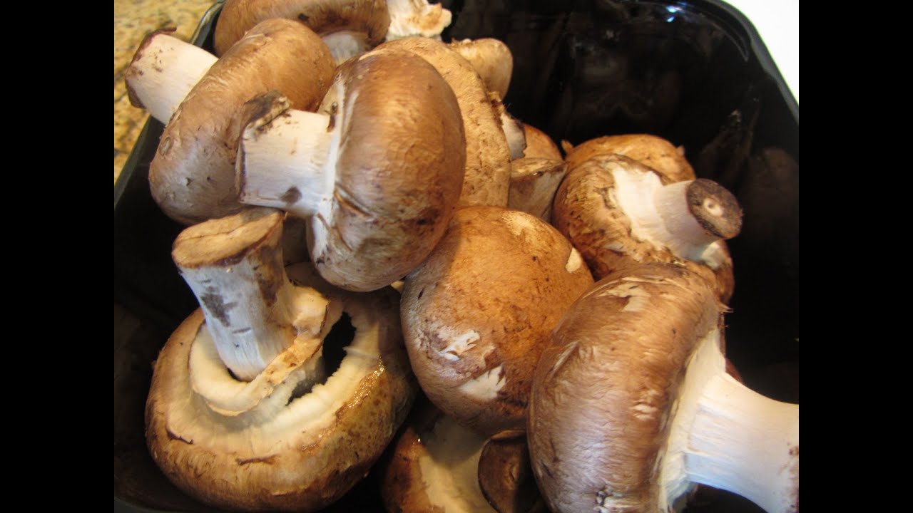 How to Dehydrate Zucchini & Mushrooms For Food Strorage