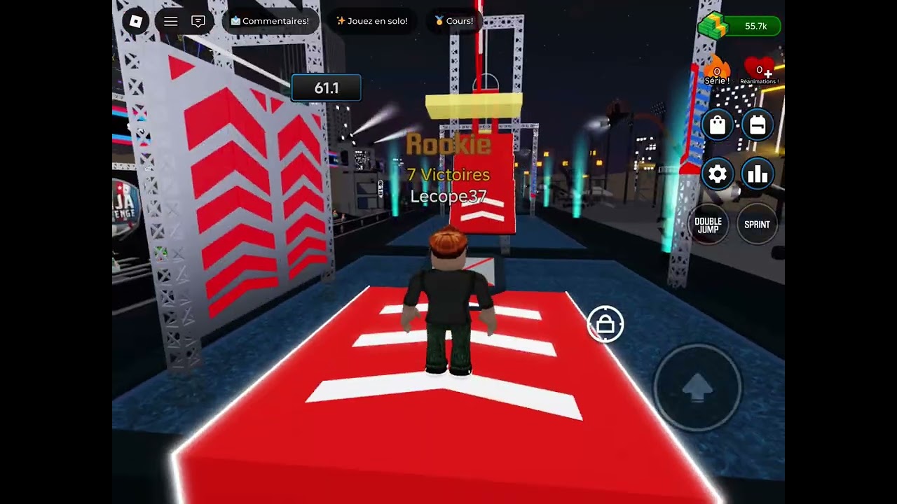 Ninja Warriors 