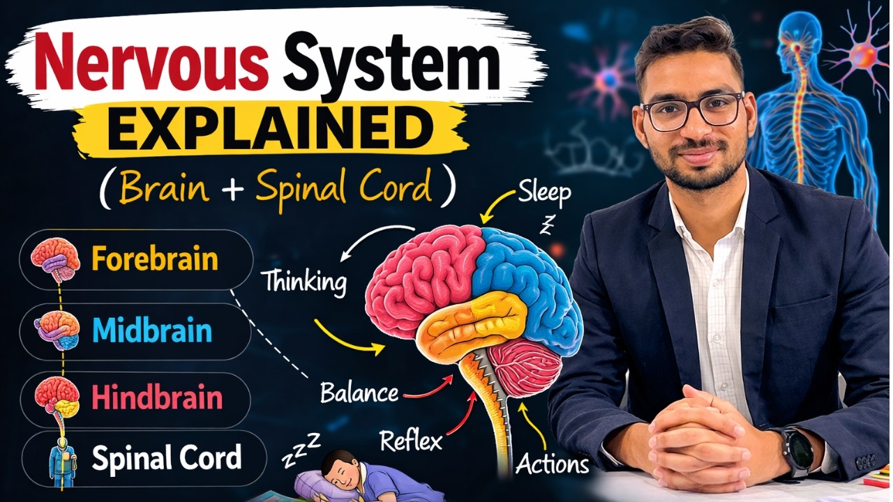 Human Nervous System Explained  | Forebrain, Midbrain, Hindbrain Spinal Cord | Shivam Sir | Reskool