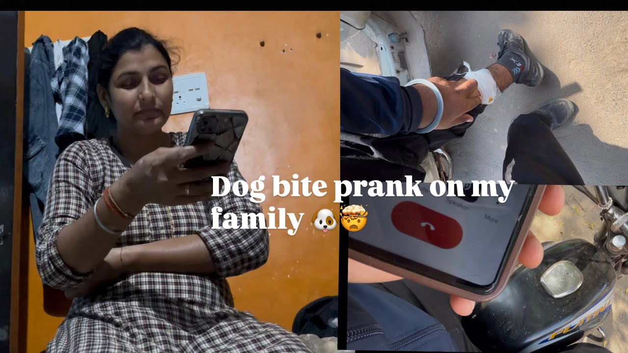 Dog bite prank on my family 🐶🤯 ||vlog|| ||no|| ||26||