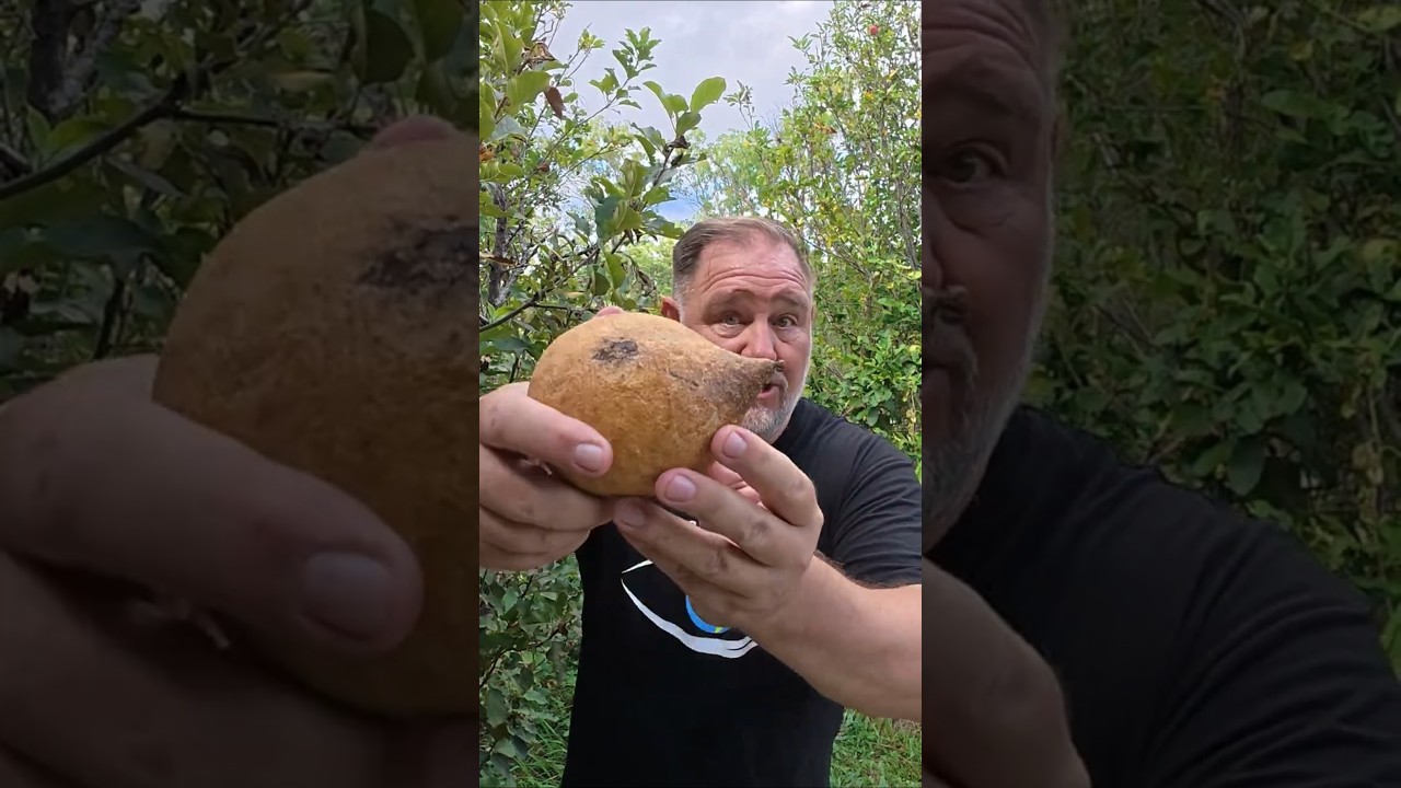 Домашняя еда лучше.