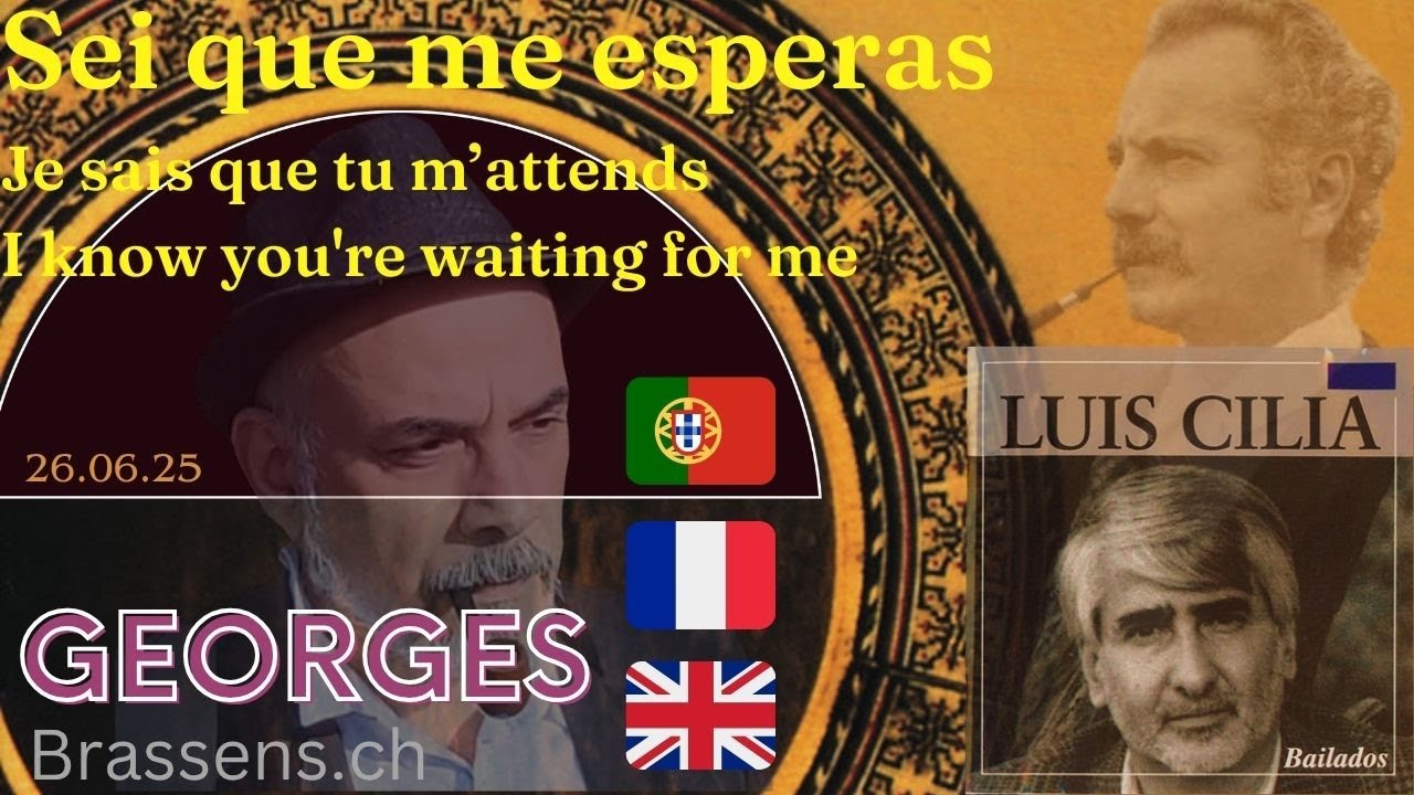 2025 -  Luís Cília - 