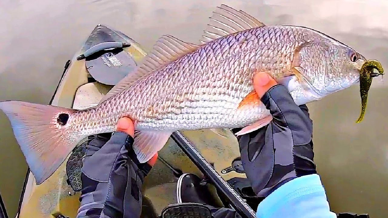 Лучший способ оснастки и проводки приманок Jerk Shad для ловли окуня, щуки и форели
