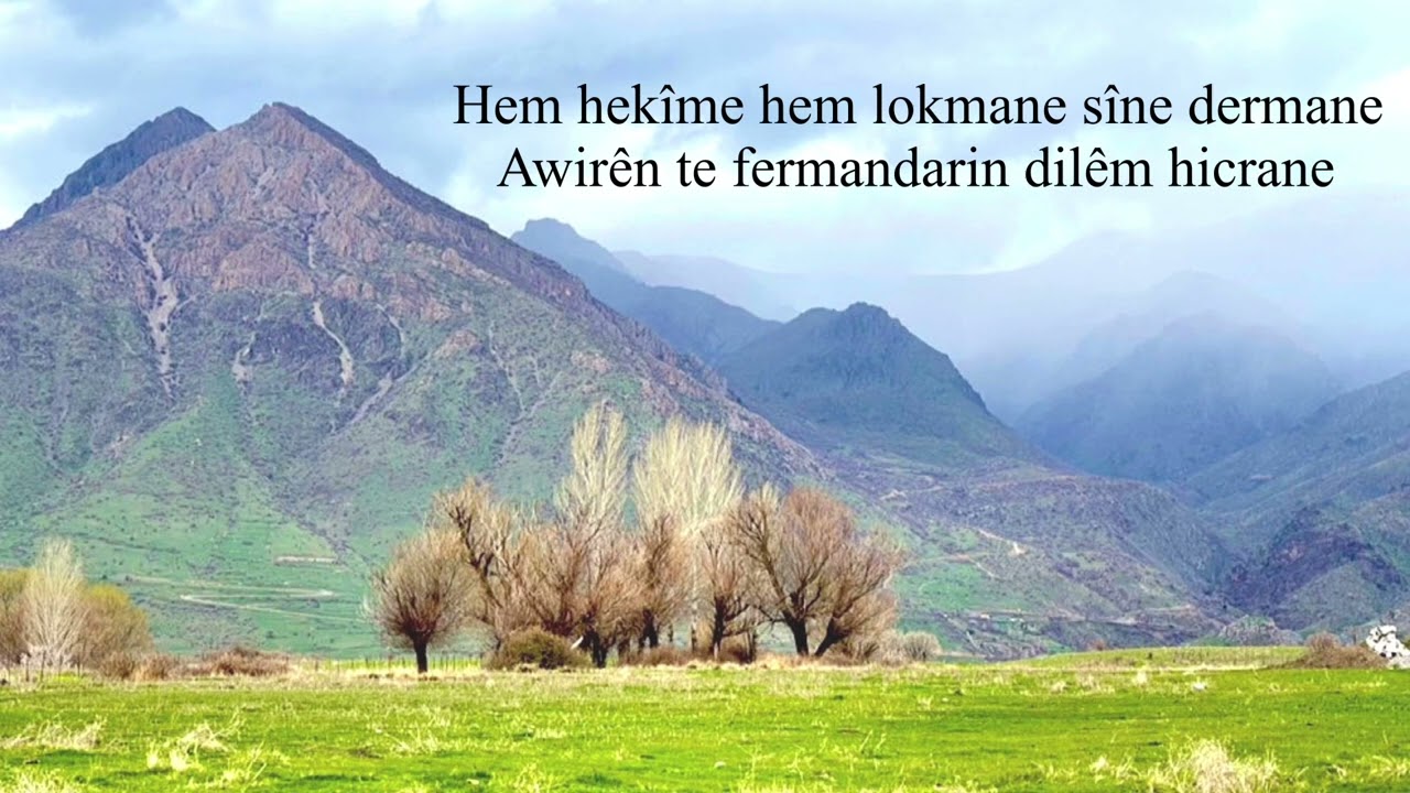 Birader, Dema tu dikenî Lyrics #Lyrics #kurdishsong