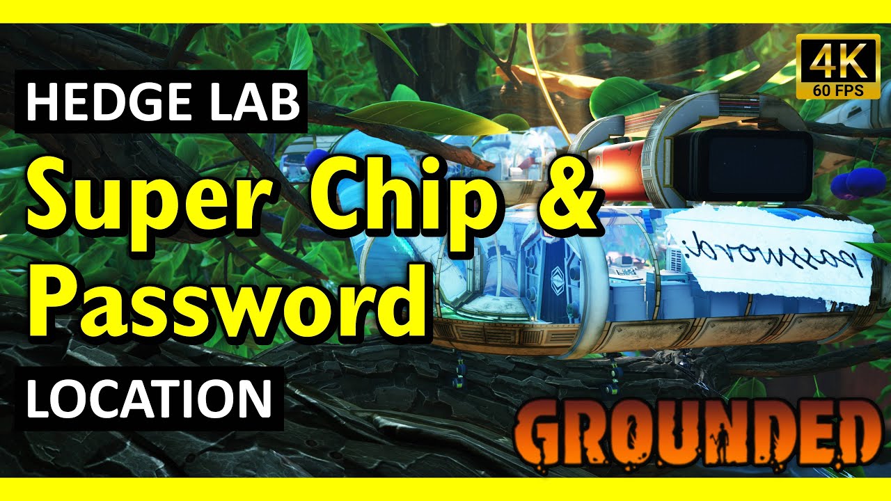Find the Hedge Lab Password and Super Chip | Grounded (2025)