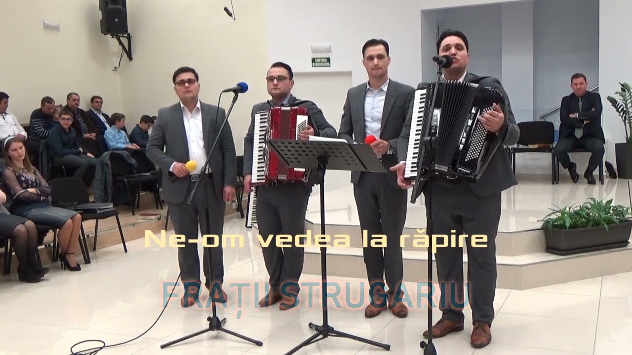 Fratii Strugariu - Ne-om vedea la răpire