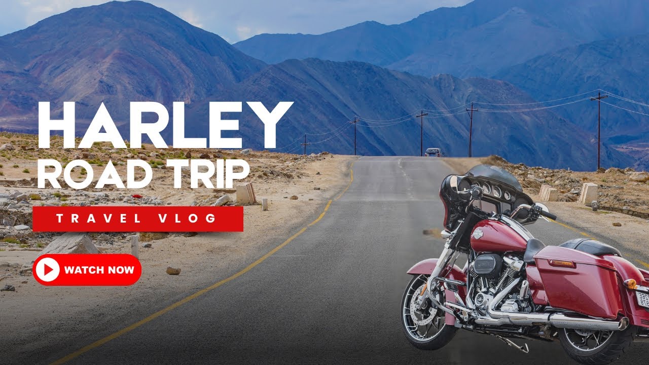 2005 Harley Commute with a Hilarious Twist | Motorcycle Vlog & Funny Surprise