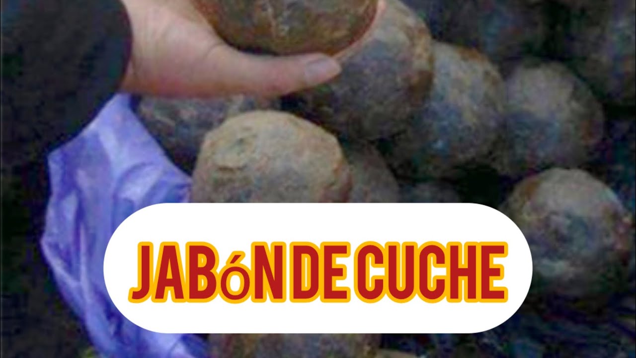 Viaje a comprar el JABÓN DE CUCHE Soyapango y La Villa de Jesús