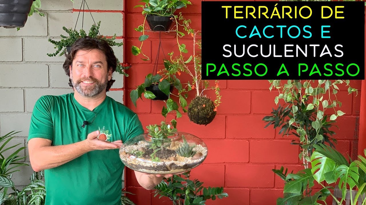 Terrário de Cactos e Suculentas Passo a Passo