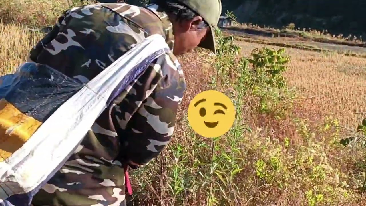 Tun tum chu Sazu Lian pui pui aMak a mak atam ka awk e...