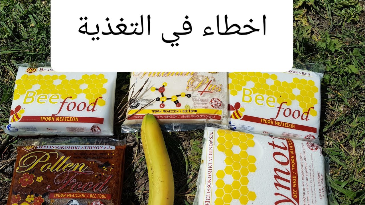 تغذية النحل بالكاندي، أوقاته أسبابه، أضراره🧐 .