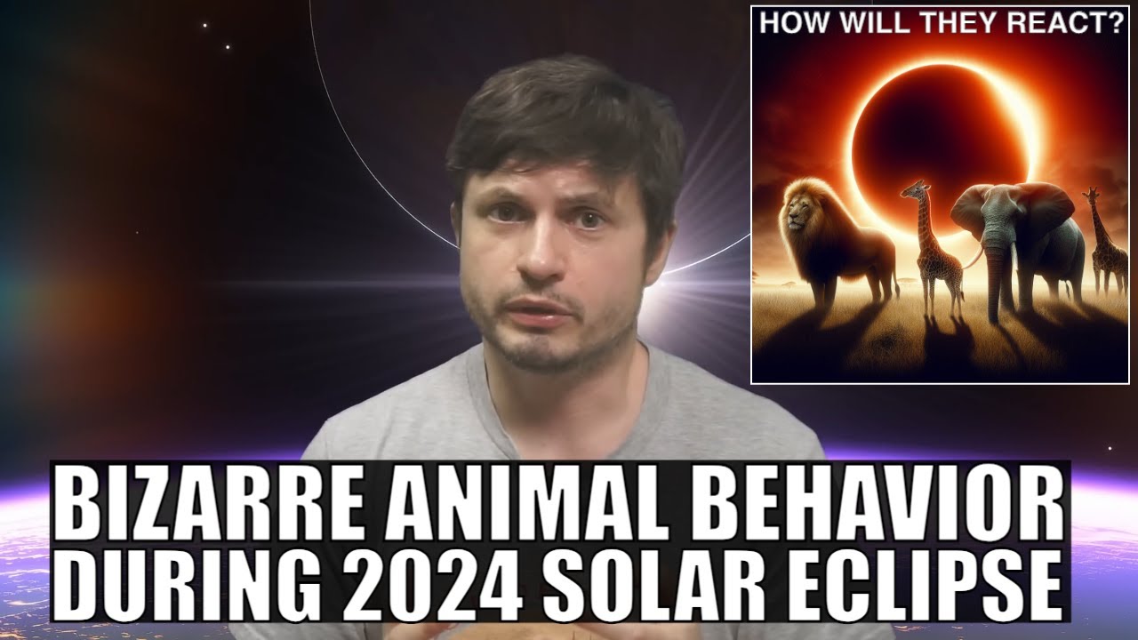 I Was Shocked To Learn How Animals React to Solar Eclipses