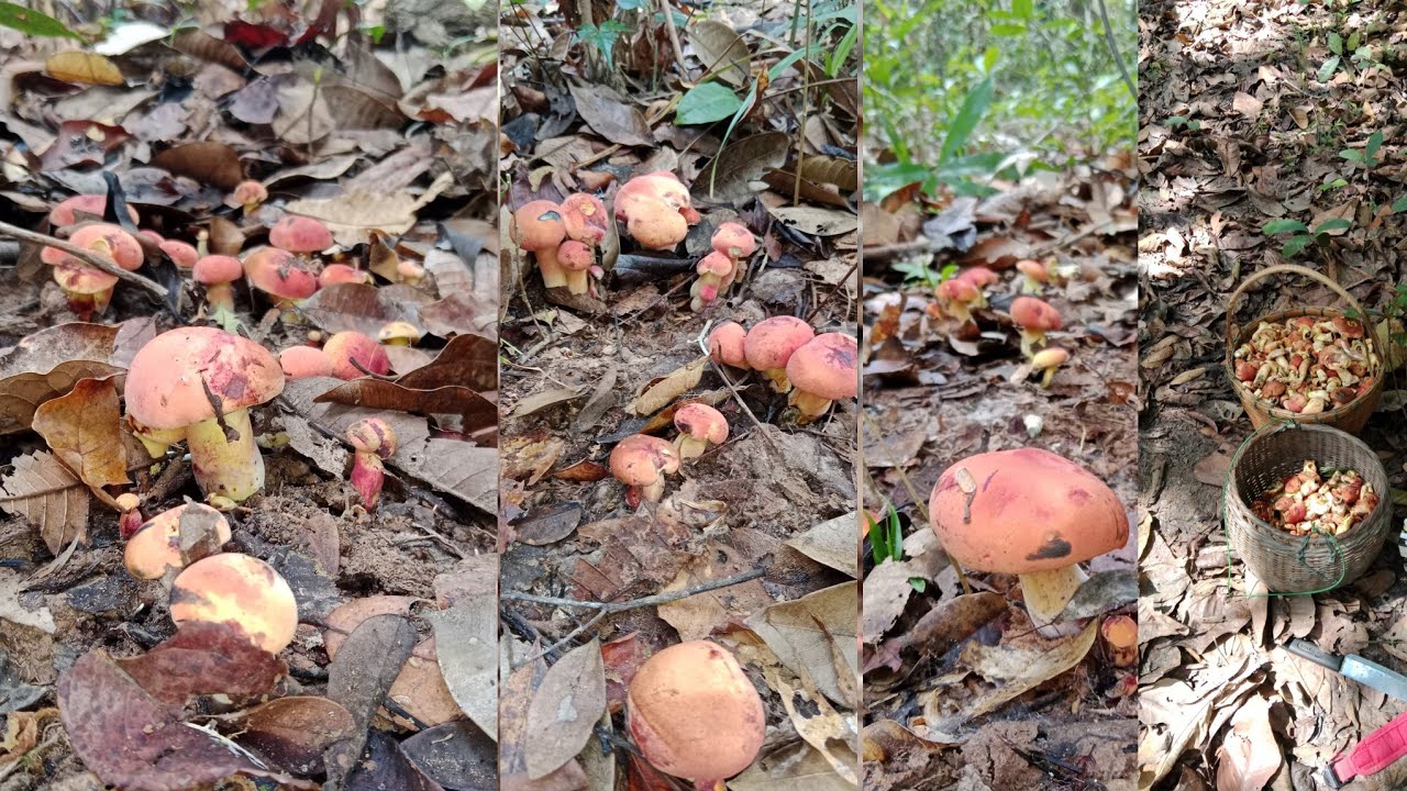 สุดยอดความหมาน