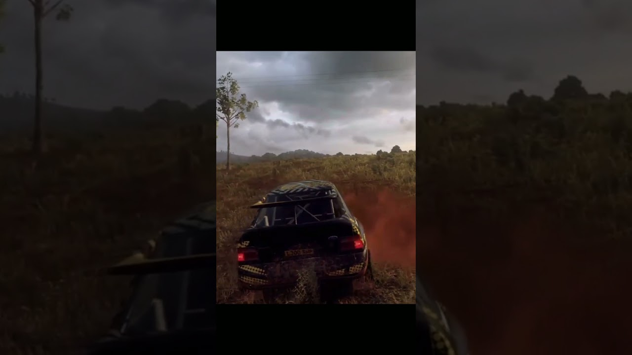 Dirt Rally 2.0 crash compilation * 7