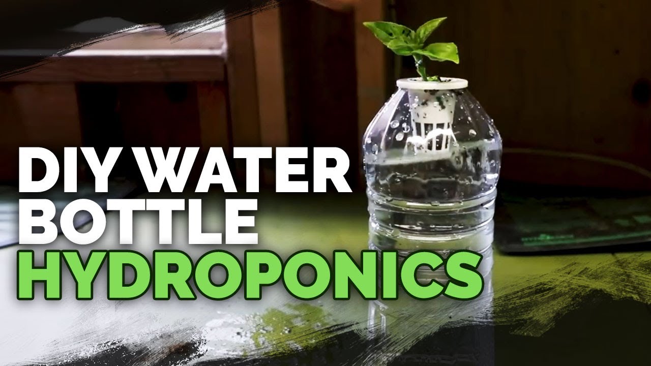 DIY Water Bottle Hydroponic System for Propagating and Herbs