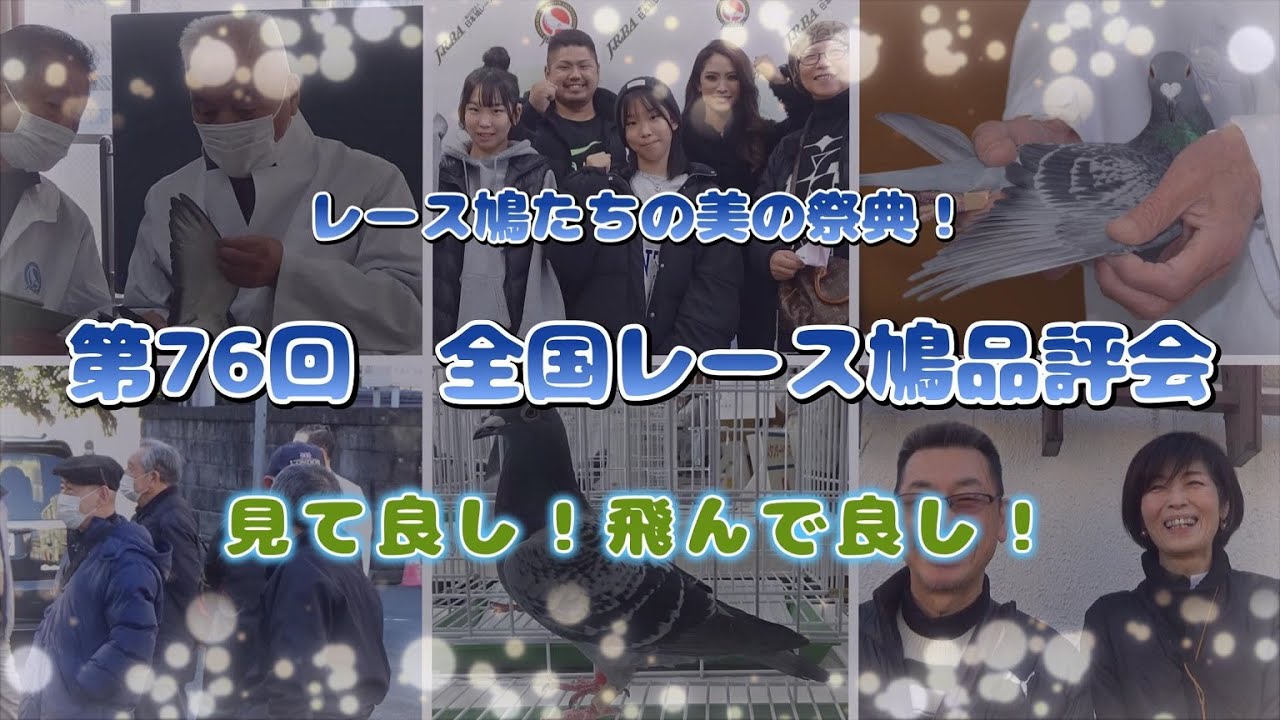 第76回 全国レース鳩品評会 　－前編－