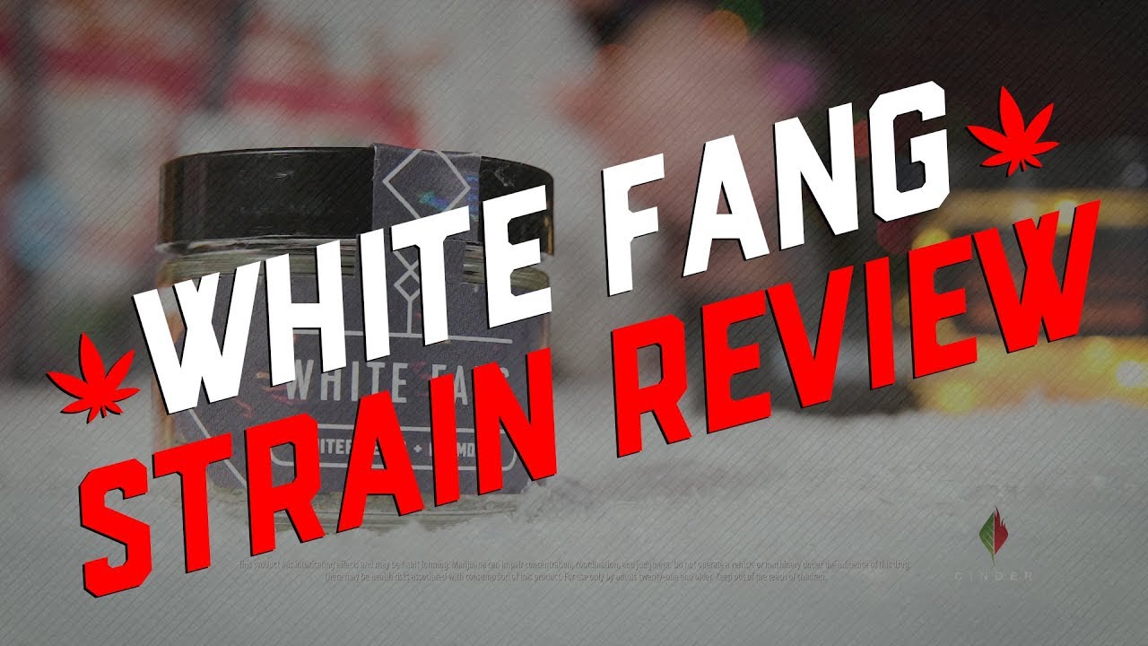 Weed Strain Review | White Fang by Kudu Pharms
