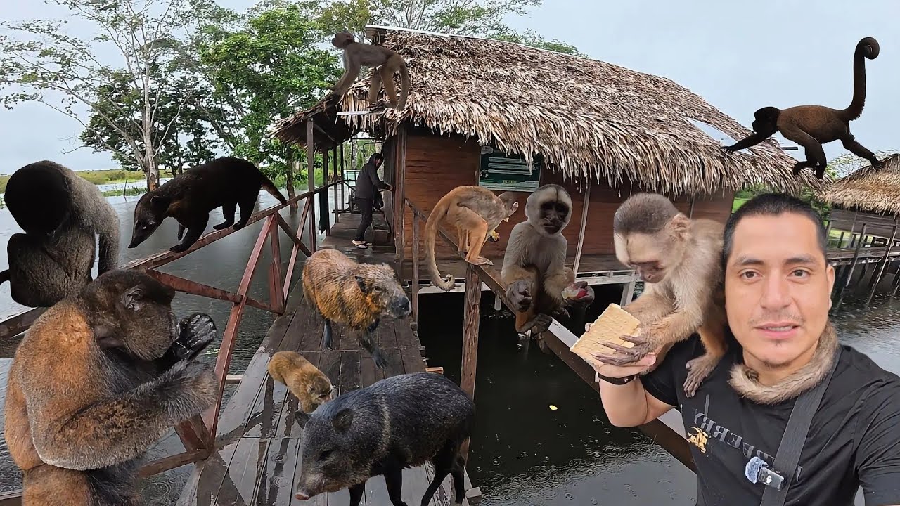 Visite la isla de los MONOS en un mal momento 24 horas LLUVIA 