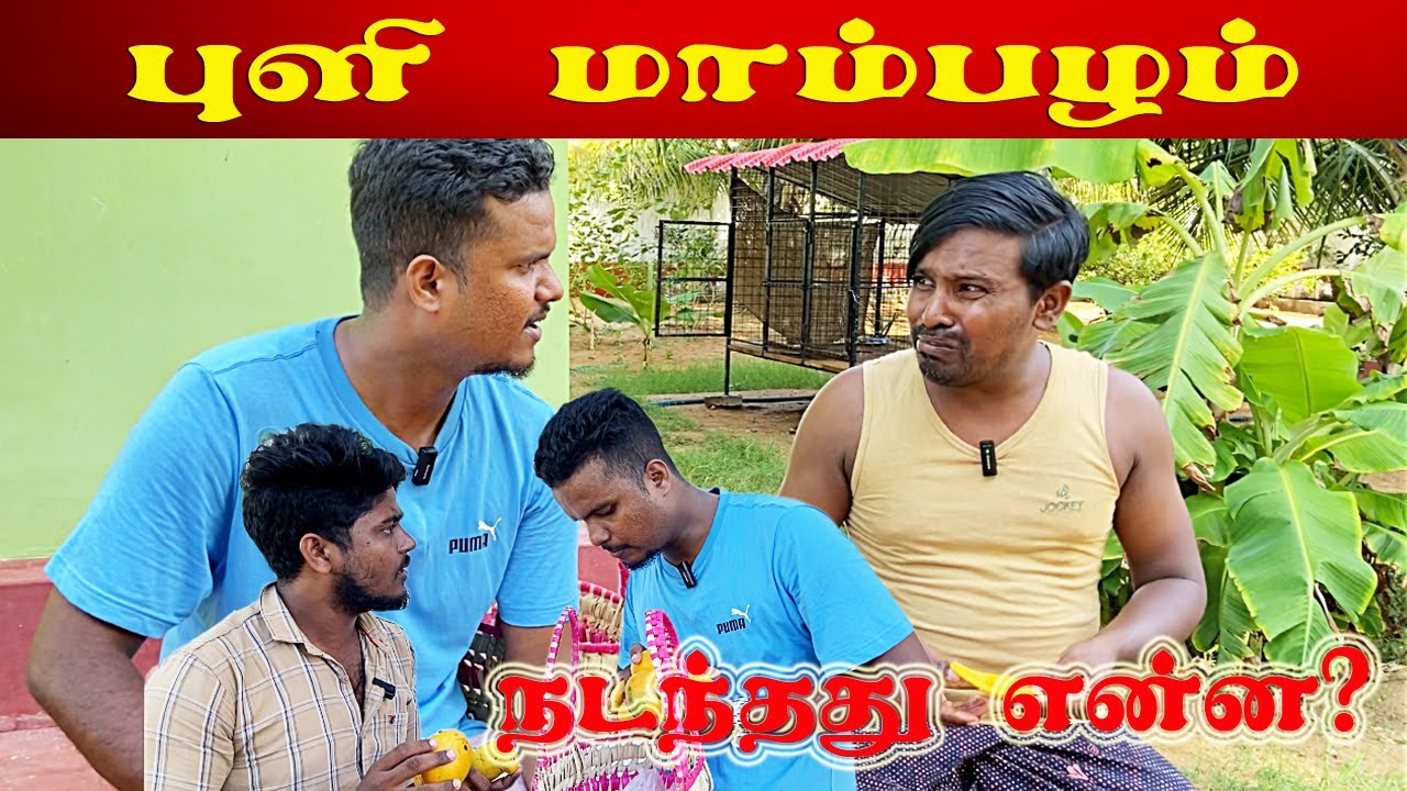 மருந்தடிச்ச மாம்பழத்தை விற்ற பிச்சுமணி | Akkuddiyum pichumaniyum #akkuddi #pichumani #trending