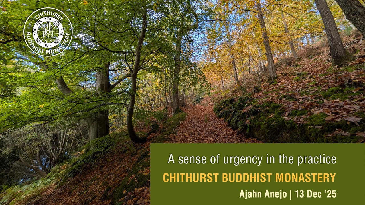 A sense of urgency in the practice  | Ajahn Anejo | 13 Dec 25