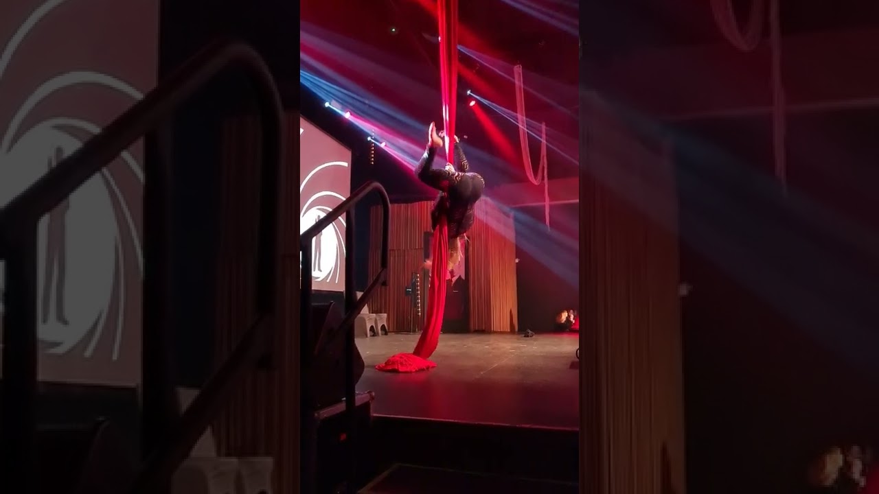 Tina Turner - Golden eye || Aerial silk