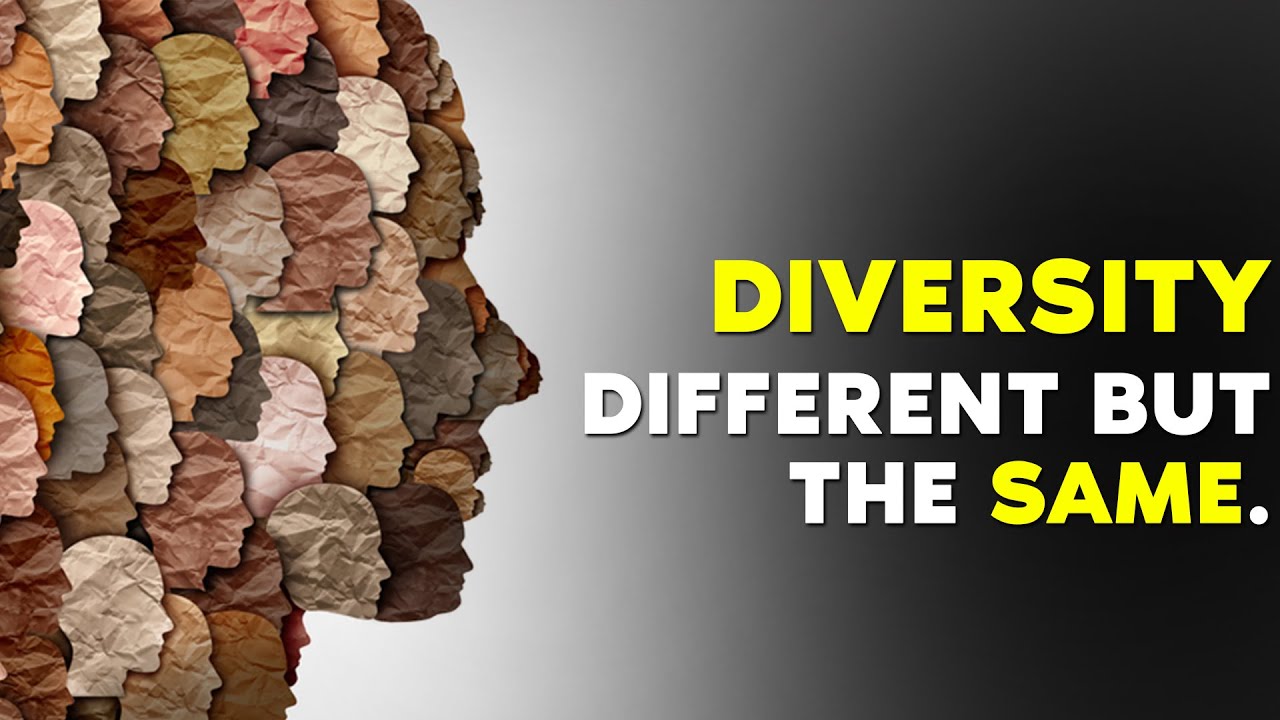 Разнообразие &mdash; разное, но одинаковое | Обязательно посмотрите вдохновляющее видео