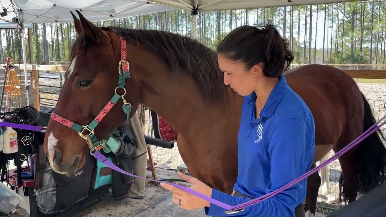 Teaching relaxation in the grooming routine