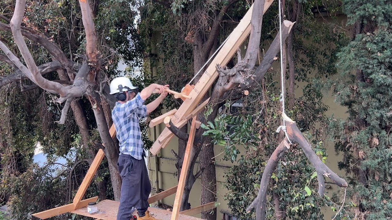 Urban Wood Safari: Sourcing Unique Wood for Sculpture Art in 2026