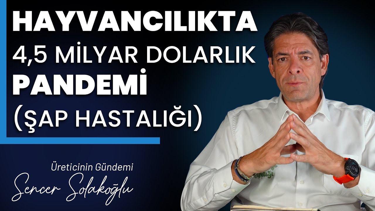 ŞAP HASTALIĞI KABUSU! %30 Hayvan Kaybı, Yönetimsizlik ve Et Fiyatları Faciası | S. Solakoğlu