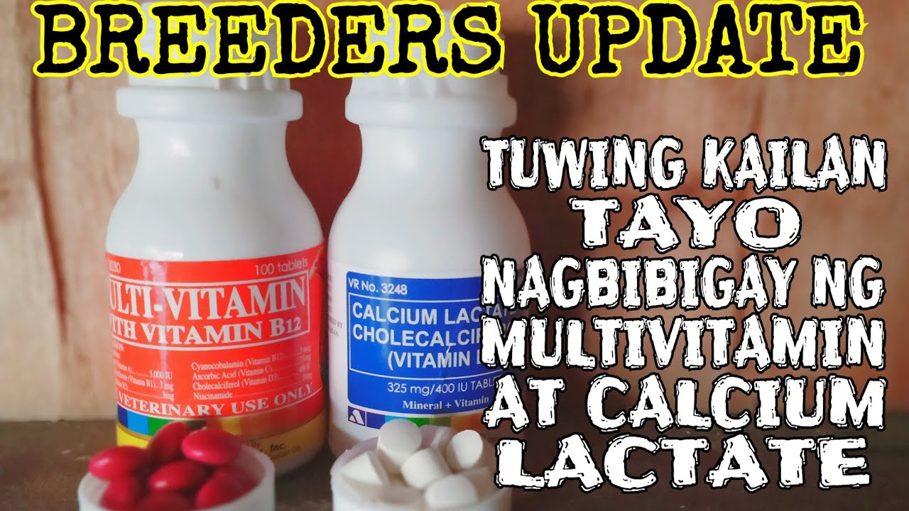 VITAMINS NG MGA KALAPATI || MULTIVITAMIN AT CALCIUM LACTATE  || KAMANDAG PIGEON TV
