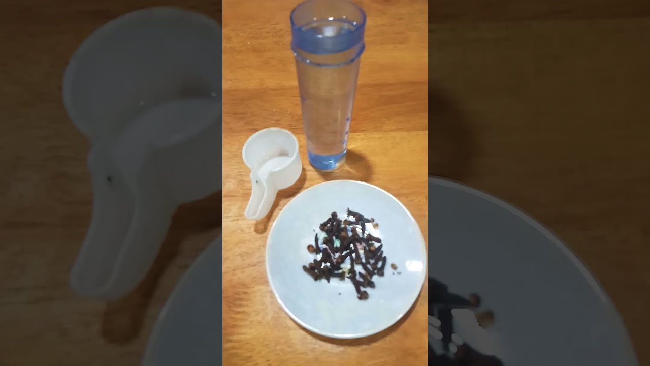 فوائد القرنفل للطيور وكيفية تقديمها لها ^