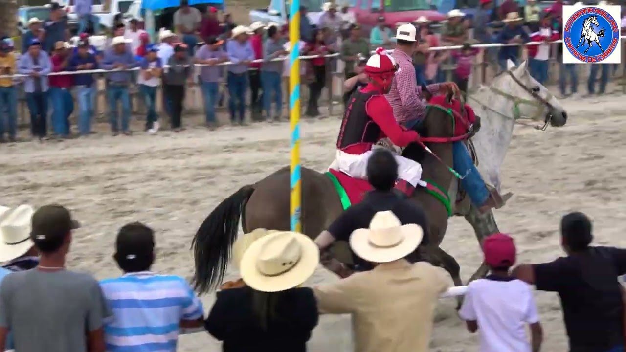 KEVIN vs PARRANDERO vs PANTOMINA vs PAYASO (Carril El Papalote)