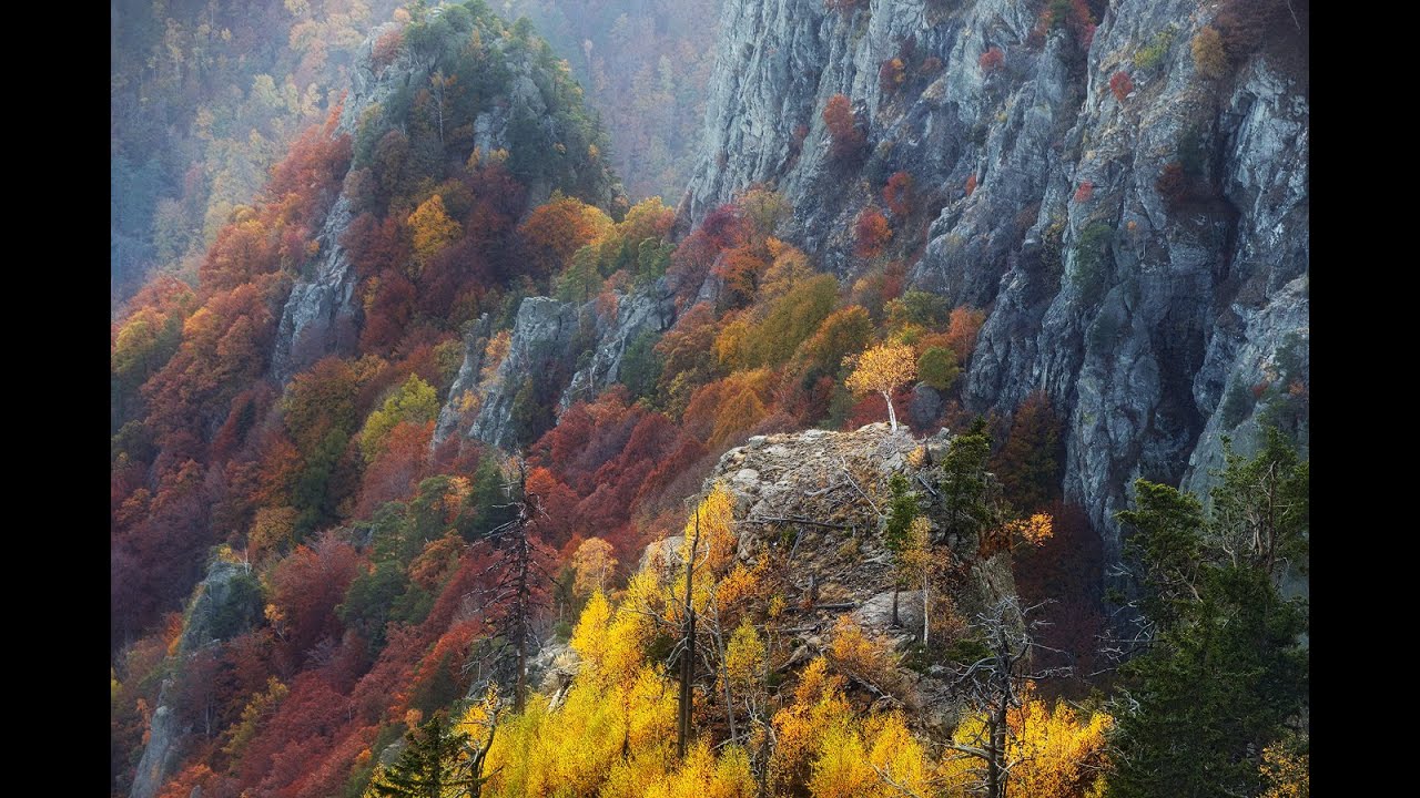 TU-MI ȘTII VIITORUL!