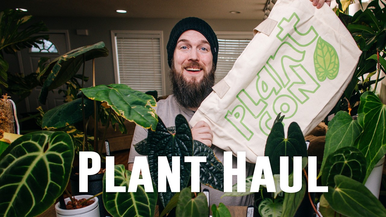 Выставка PlantCon LA была опасной… Мы купили более 20 растений.