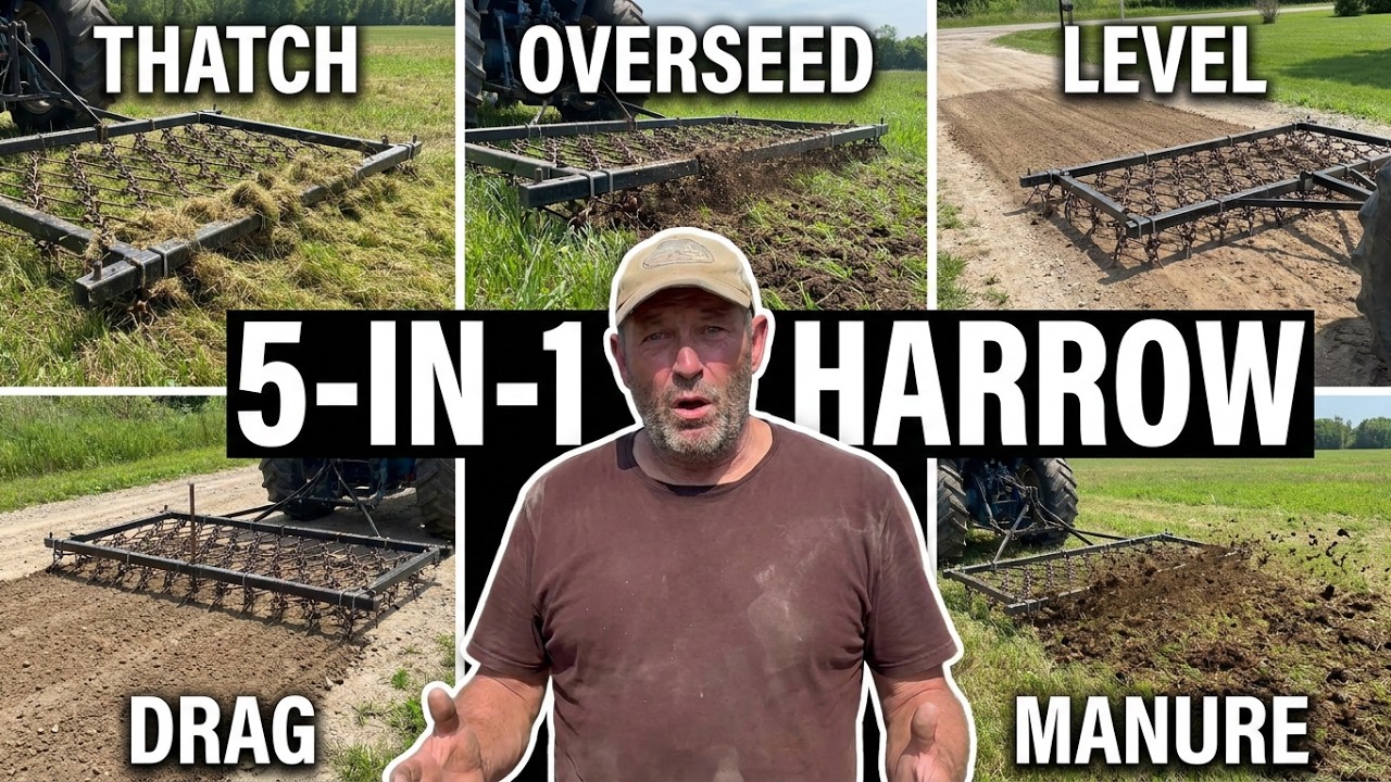 Wingfield 3 Point Heavy Duty Chain Harrow Can be a Valuable Tool for the Hay and Livestock Producer