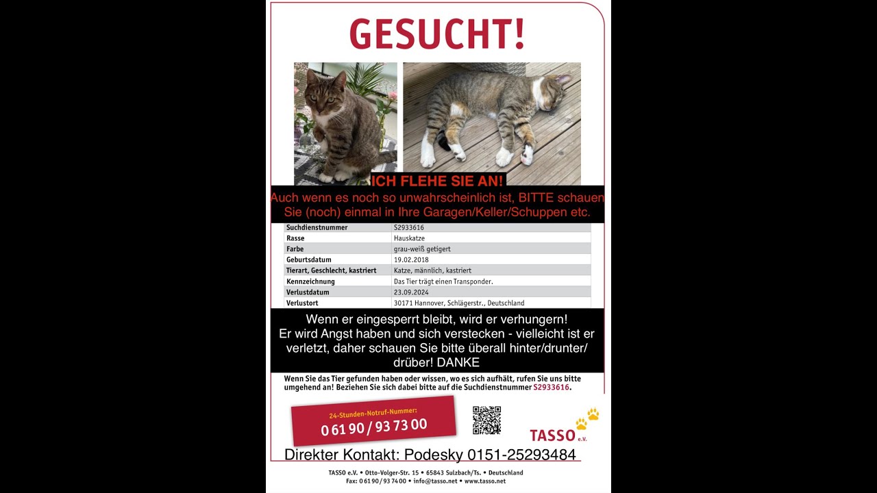 Vergaser Gitte Extra / So ein Dreck meine Katze ist Weg /