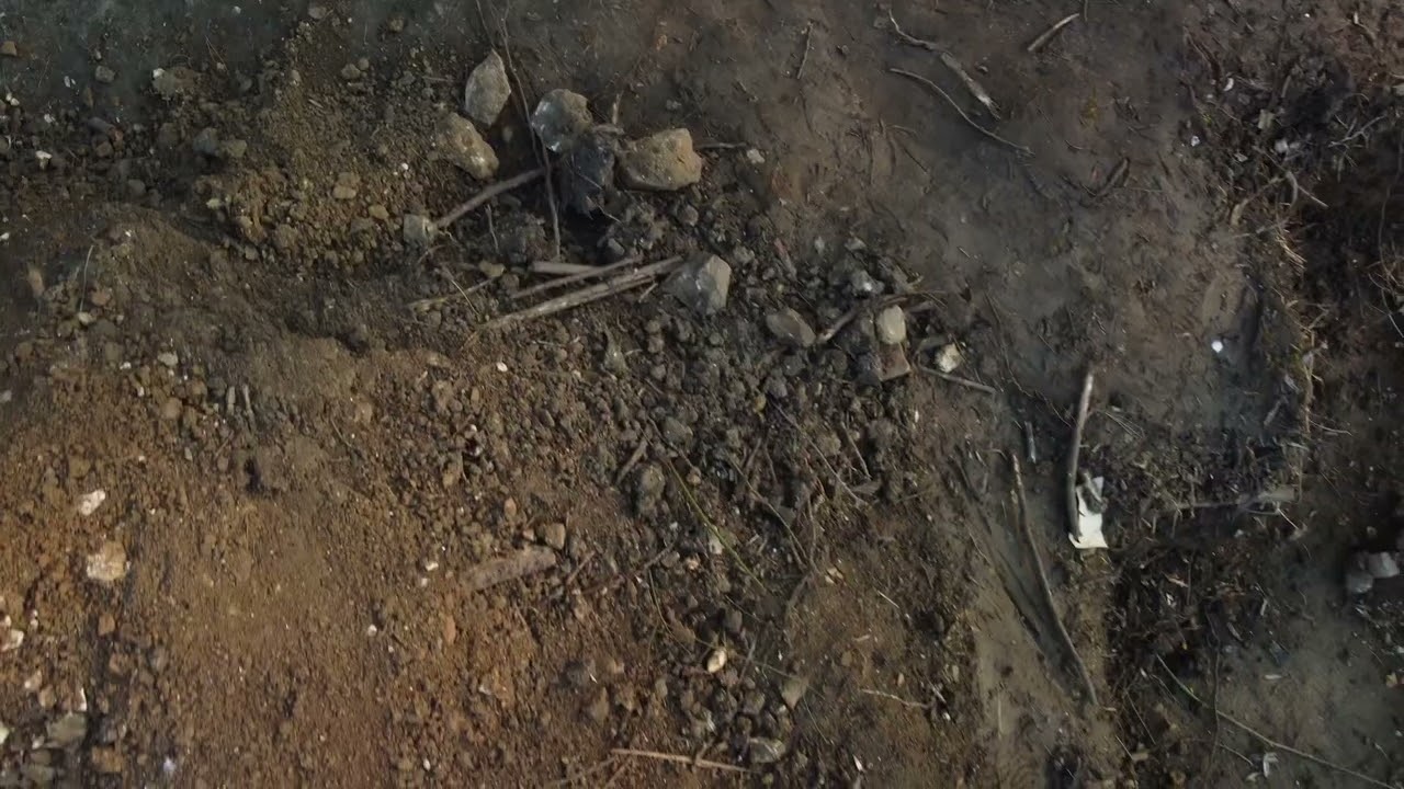 Archaeological Dig in East Malling