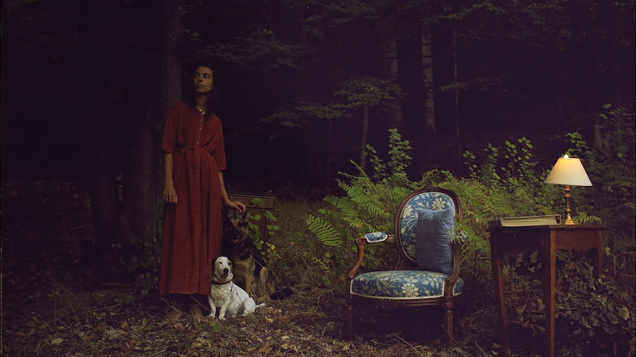 Une semaine dans la forêt avec deux chiens - vlog