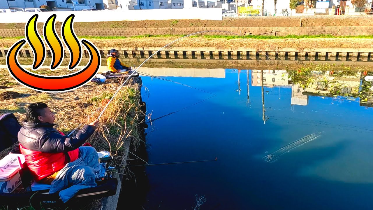 真冬でも枯れない水草の理由は温排水？だから魚も釣れるはず