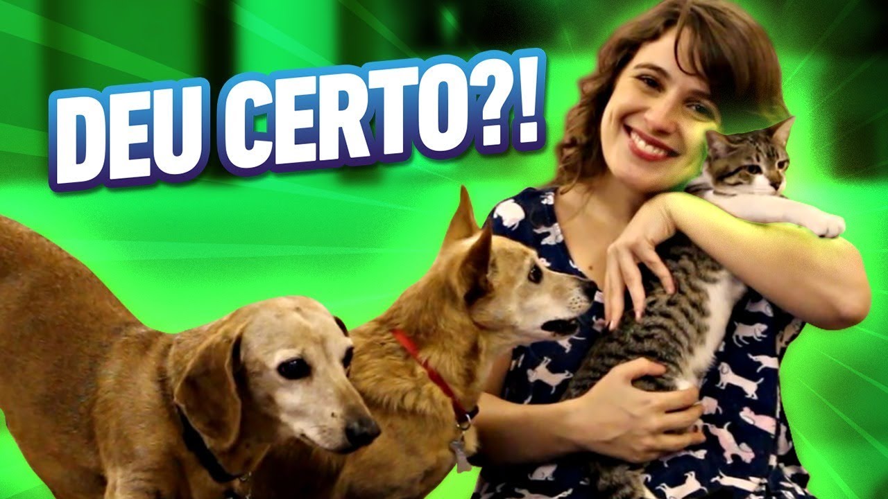 Como adaptar cachorro e gato? feat Luiza Cervenka