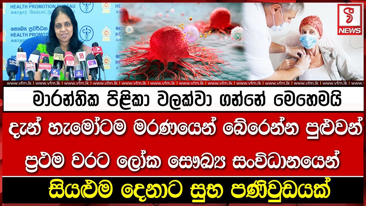 මාරන්තික පිළිකා වලක්වා ගන්නේ මෙහෙමයි